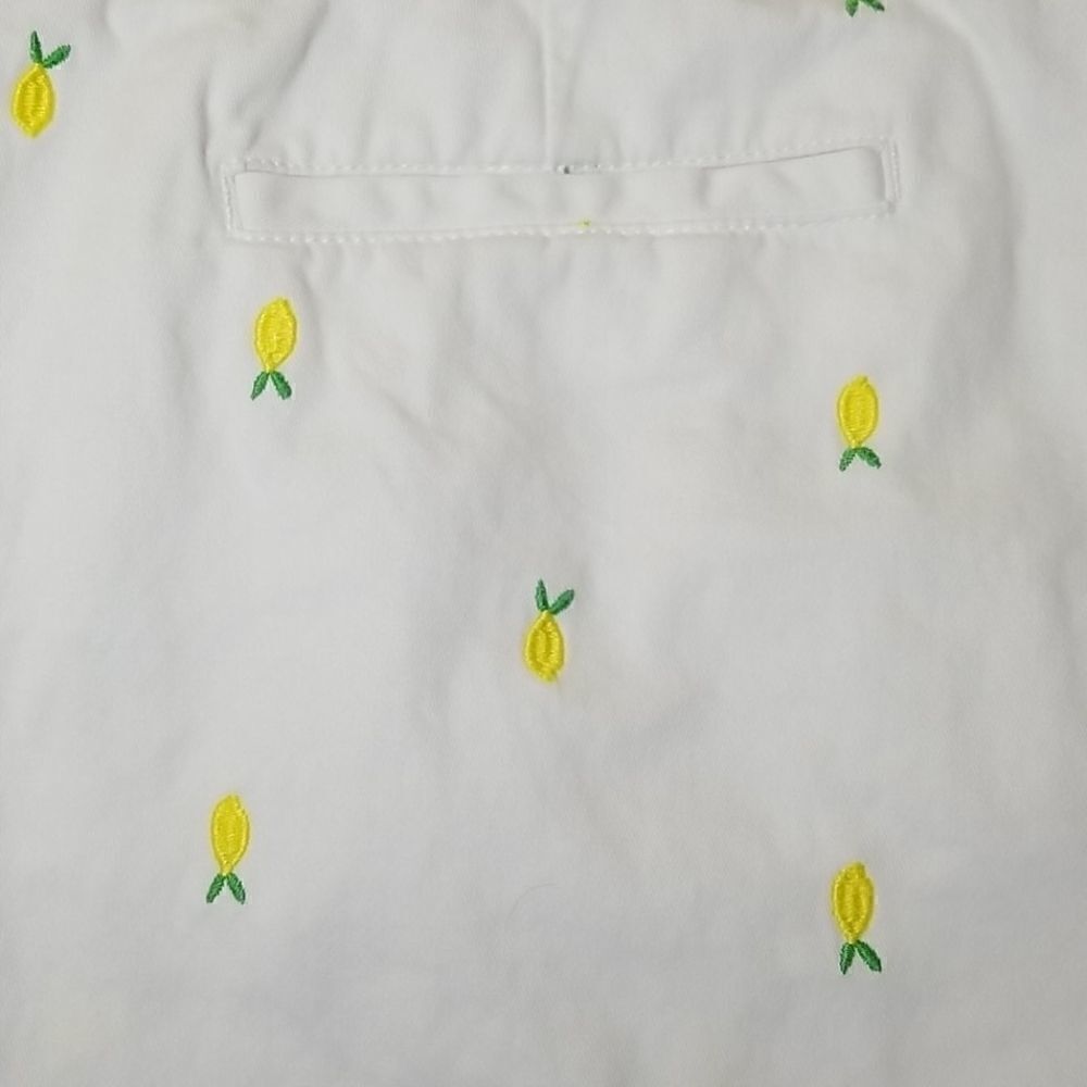šāMeronaāEmbroideredĀ Lemonā Summer Fruits Shorts - Picture 5 of 6